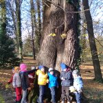 phoca_thumb_m_v zmeck 1 Fotogalerie